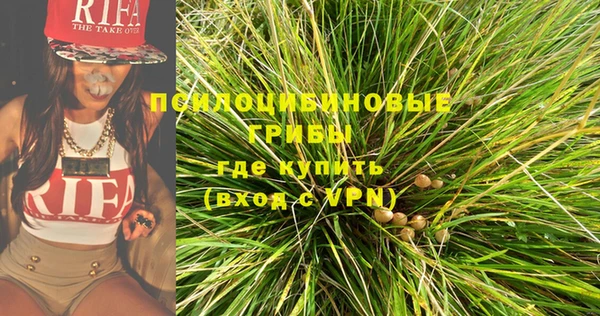 PSILOCYBIN Волоколамск